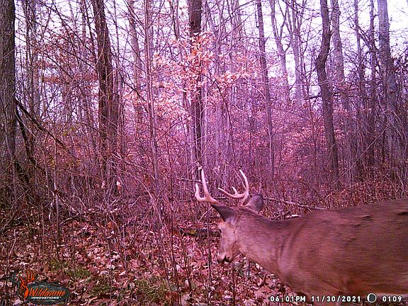 3rd image of 9665 E West Ave