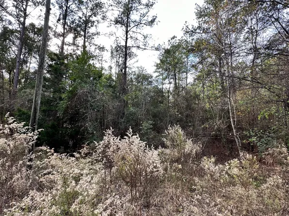 177th Rd Lot 16, Live Oak, FL 32060