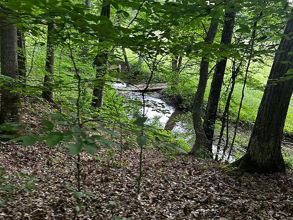3rd image of 104 Dug Ridge Rd