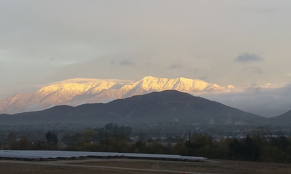 backyard view