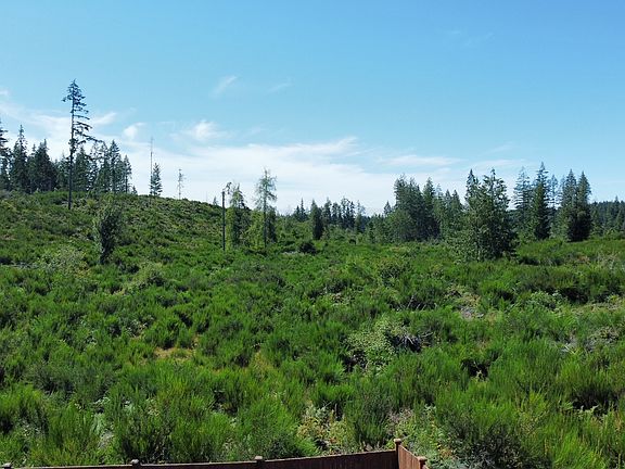 Backyard with forest and valley views