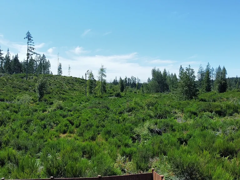 Backyard with forest and valley views