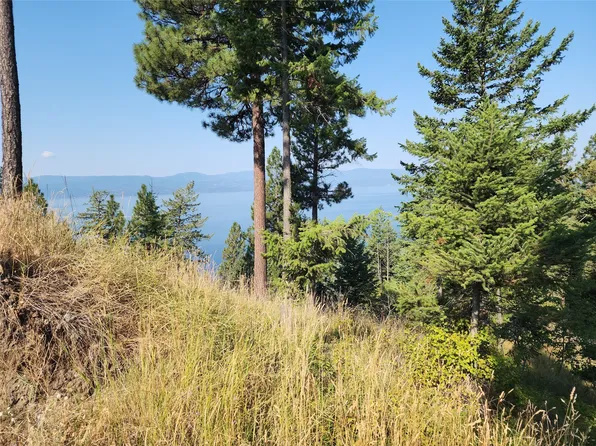 Nhn Sylvan Dr, Bigfork, MT 59911