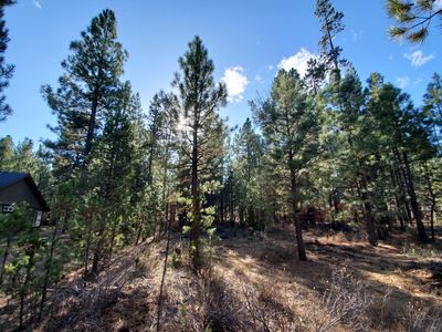 16907 Covina Rd, Bend, OR, 97707