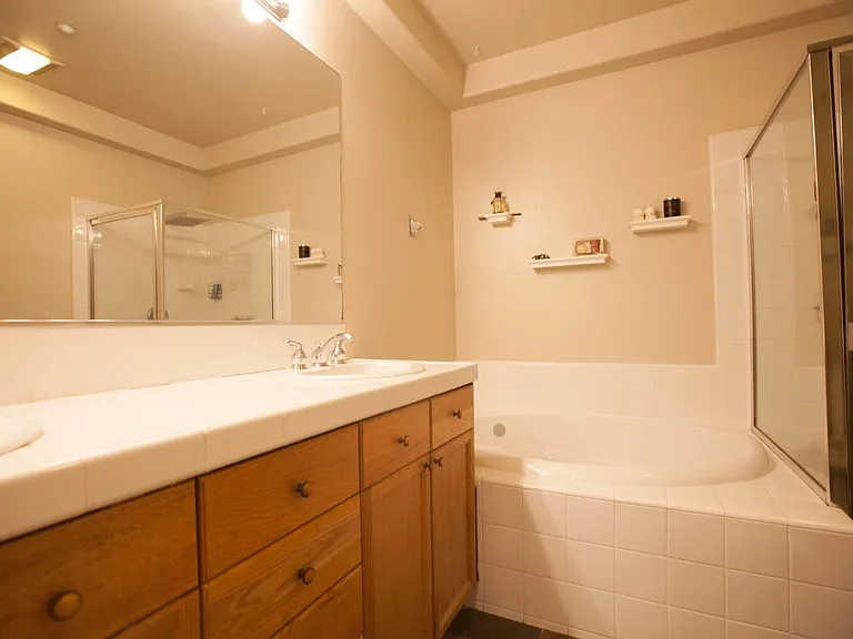 Master bathroom