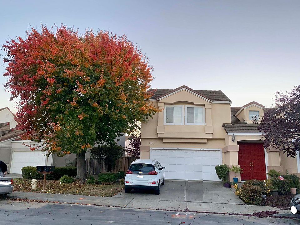 Front view - Fall