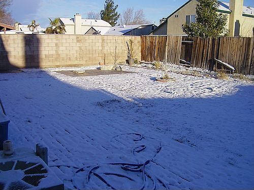 back yard (it snowed)