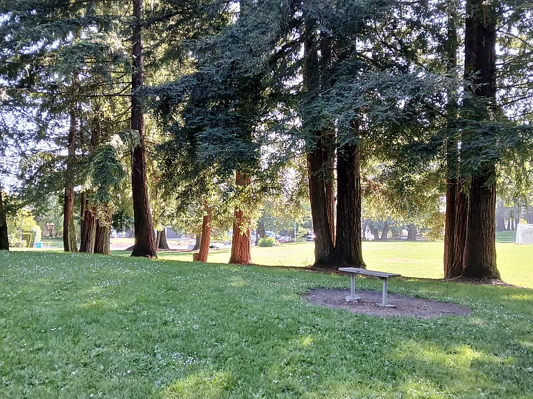 San Mateo Ct — Photo 10