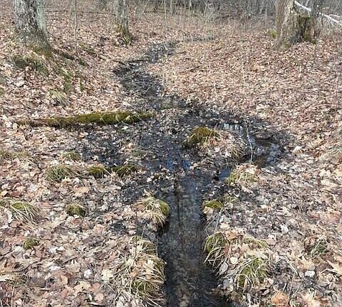 4th image of 4 Mile Rd