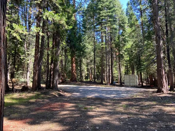 2-A-5 Summit Cir, McCloud, CA 96057