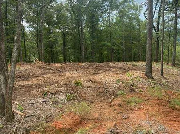LOT 56 Ridge Line Ct, Ellijay, GA 30540