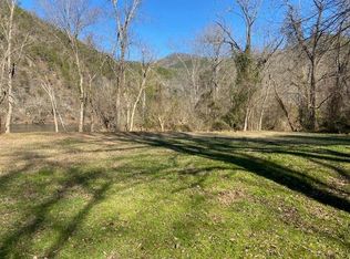 1745 Lower Shut In Rd, Hot Springs, NC 28743