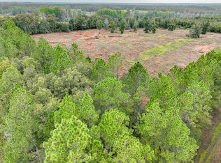 2 Lanes Bridge Rd, Odum, GA 31555