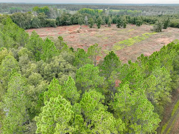 2 Lanes Bridge Rd, Odum, GA 31555