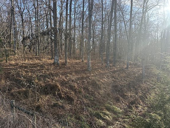 4th image of 0 Arnold Thomas Rd Lot 4