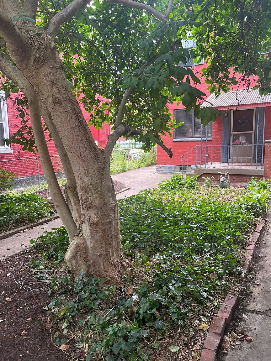 2206 Sarah St photo 1