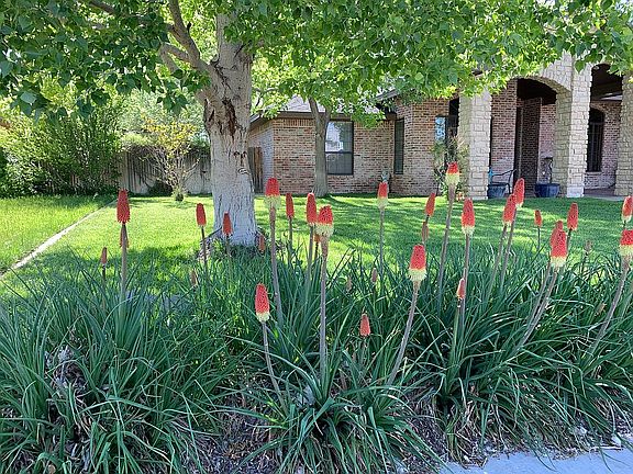 BEAUTIFUL RED HOT POKERS!