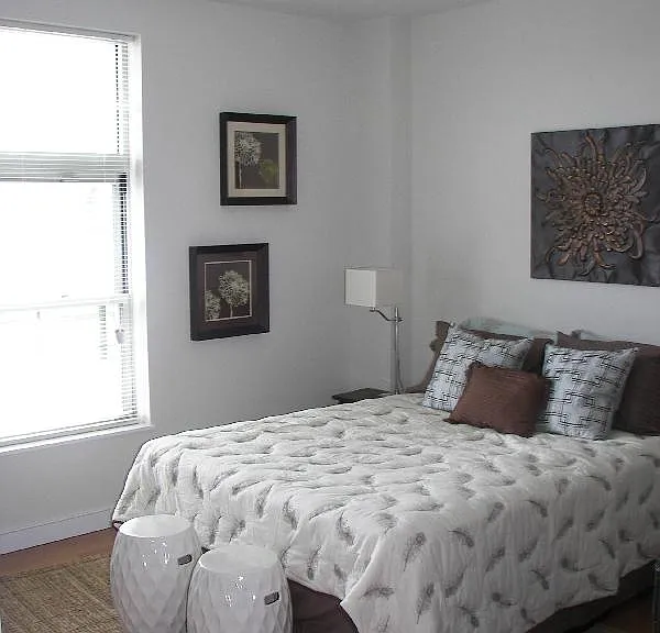 600 Albany St #604 — Photo 7