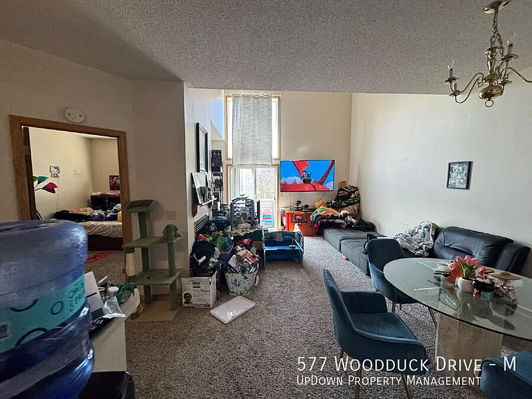 577 Woodduck Dr #M — Photo 14
