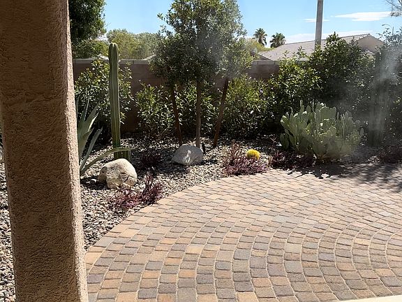 Backyard oasis