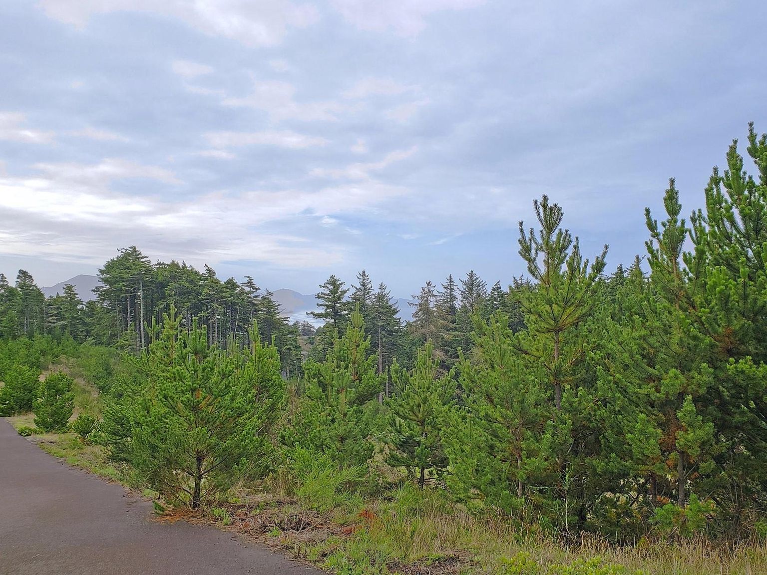 Manzanita Street Tl LOT 6237, Oceanside, OR 97134 MLS 23291 Zillow