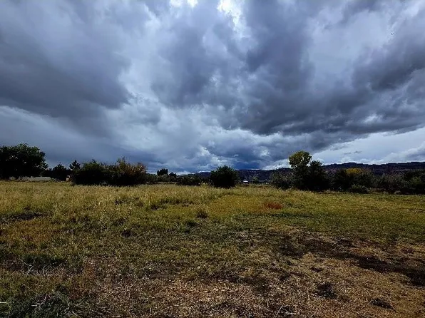 Catalina Ave, Fruita, CO 81521