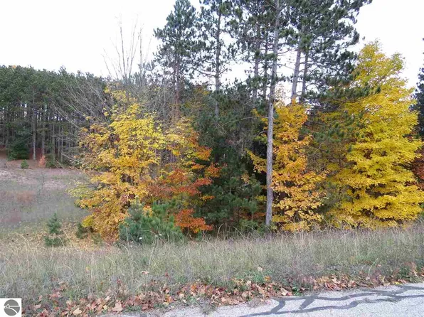 41 Pleasant Valley Rd, Kingsley, MI 49649