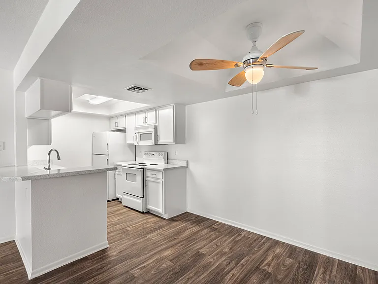 Dining and Kitchen Area