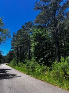 83 Pleasant Cypress Trl Lot 4, Broken Bow, OK, 74728