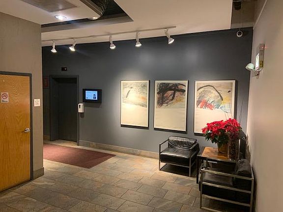 4th image of 1601 S Michigan Ave APT 505