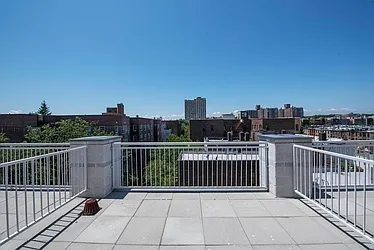 Rented by Bold New York