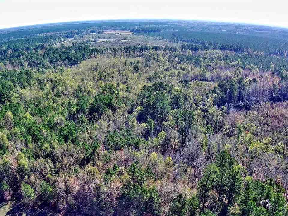 70 Acres Off, Greeleyville, SC 29056 Zillow