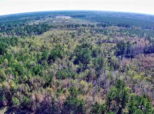 70 Acres Off, Greeleyville, SC 29056