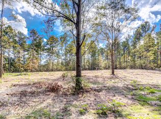 490 Whittington Rd, Angier, NC 27501