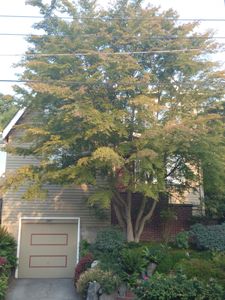 2017 5th Ave N, Seattle, WA, 98109