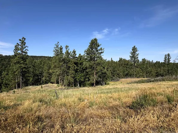 TRACT 12 Black Bear Rd, Hulett, WY 82720