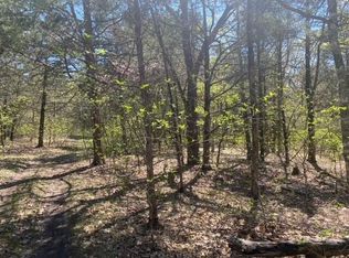 381 Painter Rd, Branson, MO 65616