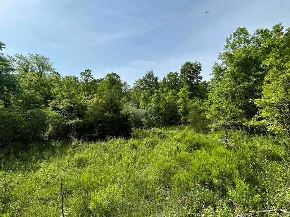 1278 Private Road 3350, Willow Springs, MO 65793