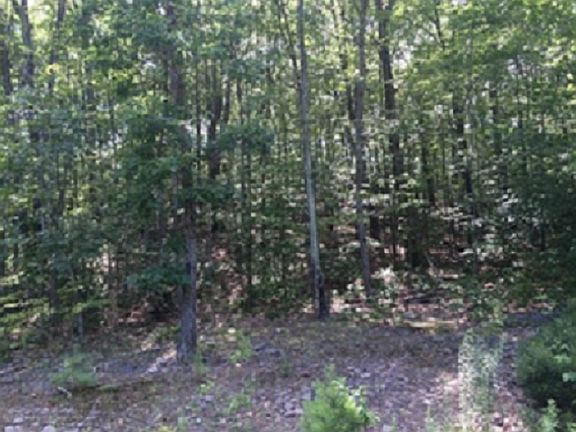 Lot Picture