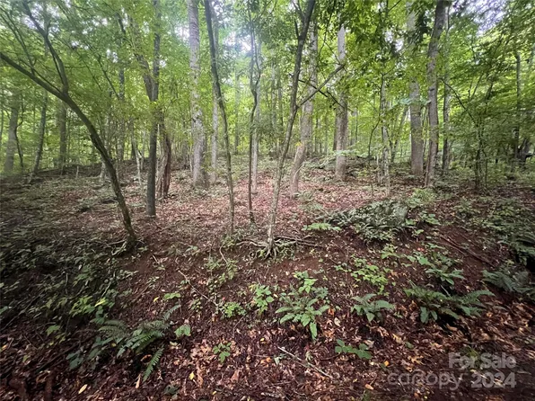 0 Country Club Dr, Canton, NC 28716