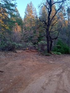 3015 Moody Ridge Rd, Gold Run, CA, 95717