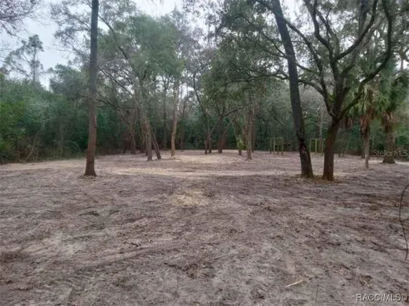 7451 & 7471 NW 167th Pl, Trenton, FL 32693