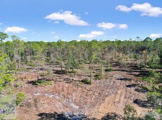 TRACT 2 Highway 259, Waynesville, GA 31566