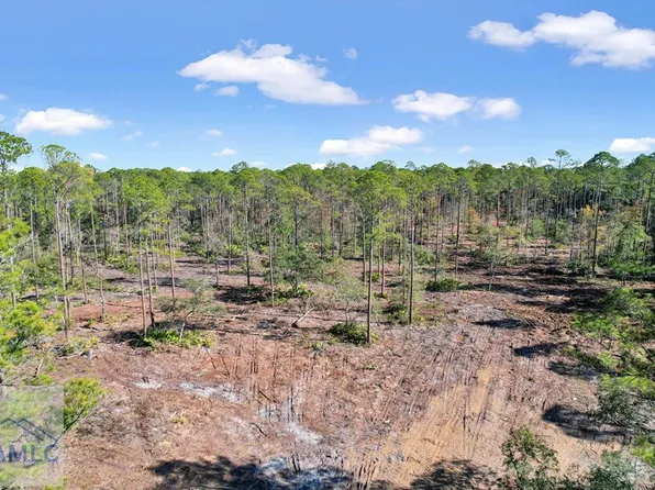 TRACT 5 Highway 259, Waynesville, GA 31566