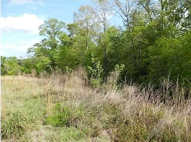 2nd image of 0 Blair Rd
