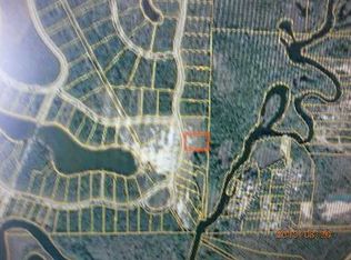 0 Wide Water Cir, Wewahitchka, FL 32465