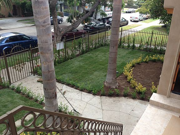 Front Yard