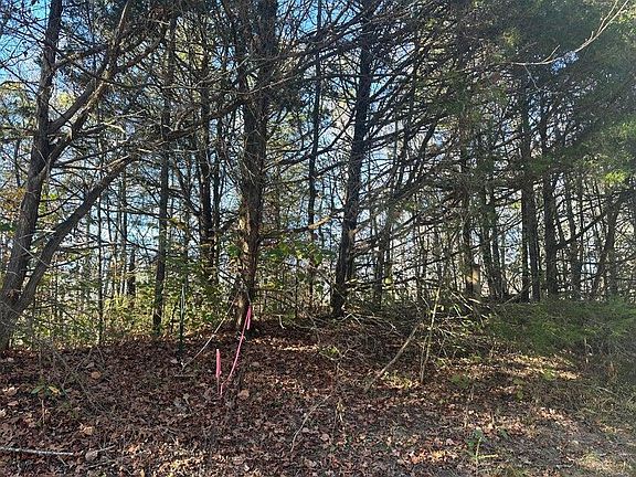 4th image of 0 Mount Carmel Rd
