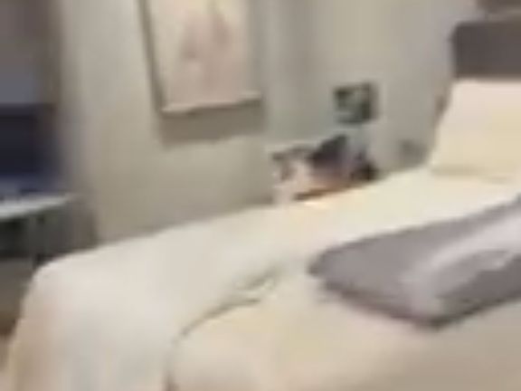 Bedroom now has hardwood