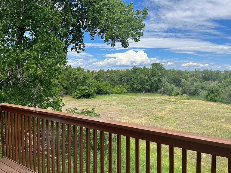 The view from the deck overlooking Bear Creek Greenbelt